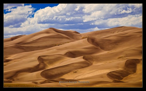 Dunes-No2_web.jpg