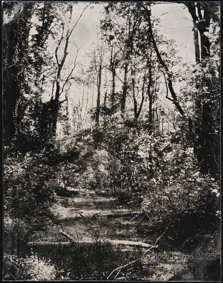 20230424-Tintype_05_1800.jpg