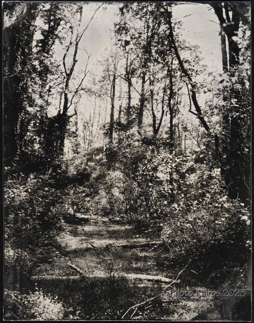 20230424-Tintype_05_1800.jpg