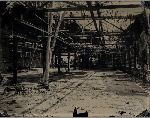 20240905-4x5-Ambrotype-GoatFarm-Bldg1_02_websocial.jpg