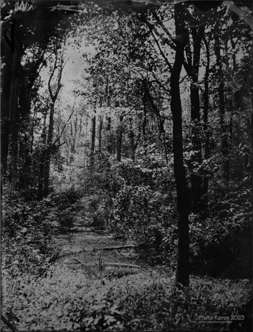 EarthDay2023_MCB0285_1800.jpg
