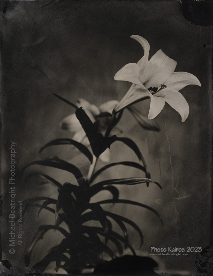 20230408-Tintype_02_1800.jpg