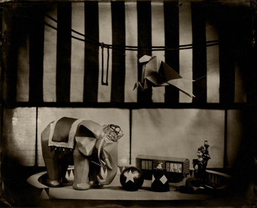 20240420-8x10-tintype-w4e_01_2800a.jpg