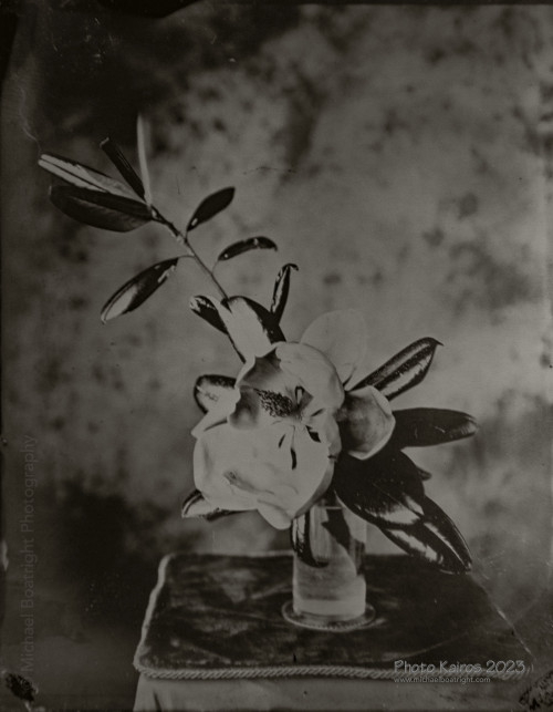 WorldWetPlateDay2023_MCB0313_1800.jpg