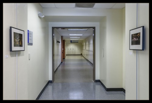 GSU PC - ACP Show Installation GSUPC-ACPShow_VirtualGallery_MCB9258_websocial_keylined.jpg