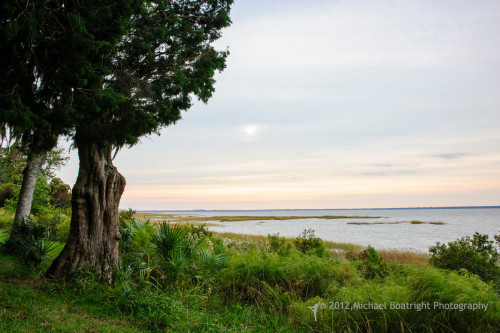 Sapelo2012_MCB0259.jpg