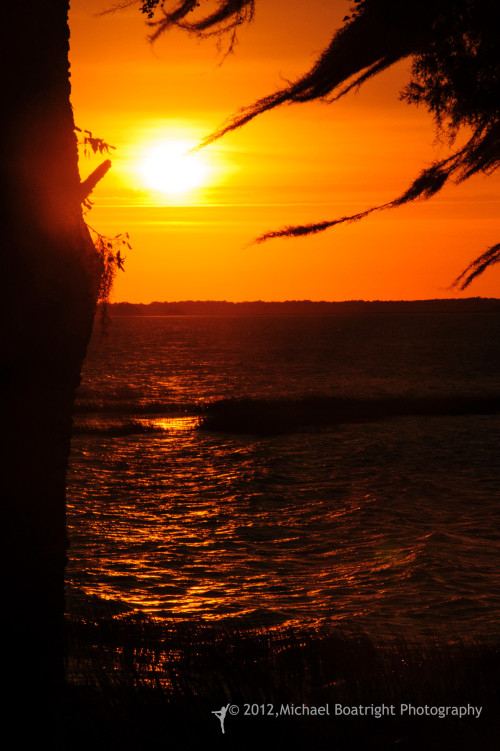 Sapelo2012_MCB0355.jpg