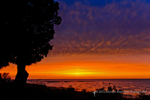 Sapelo2012_MCB0469.jpg