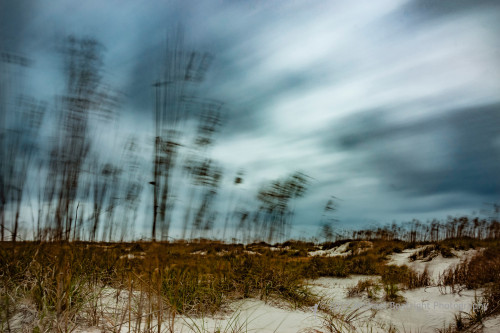 Sapelo2012_MCB0490.jpg
