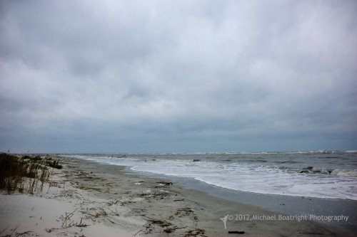 Sapelo2012_MCB0530.jpg