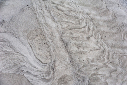 Sapelo2012_MCB0582.jpg