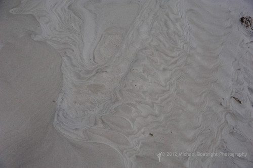 Sapelo2012_MCB0586.jpg