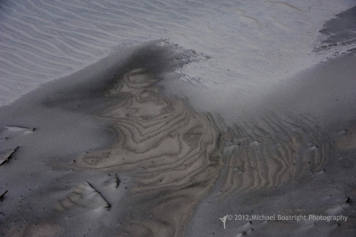 Sapelo2012_MCB0587.jpg