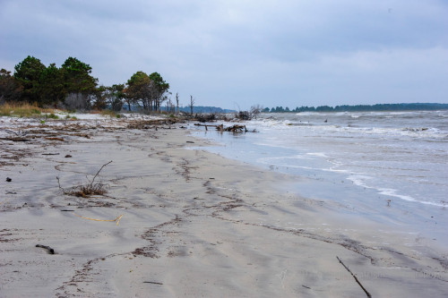 Sapelo2012_MCB0634.jpg