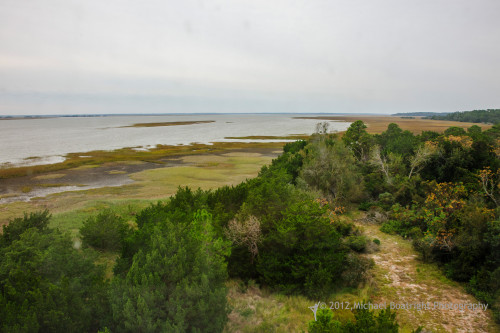Sapelo2012_MCB0854.jpg