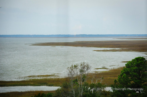 Sapelo2012_MCB0890.jpg