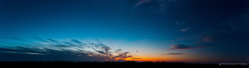 Sapelo2012_MCB0975.jpg
