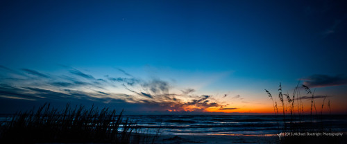 Sapelo2012_MCB0995.jpg
