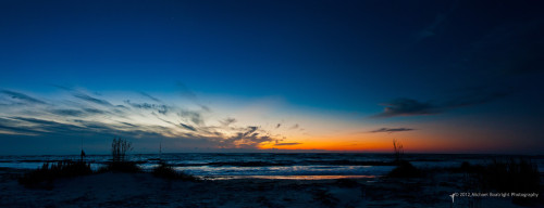 Sapelo2012_MCB1005.jpg