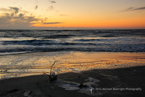 Sapelo2012_MCB1026.jpg
