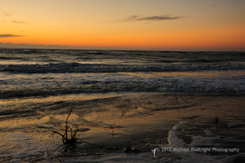 Sapelo2012_MCB1029.jpg