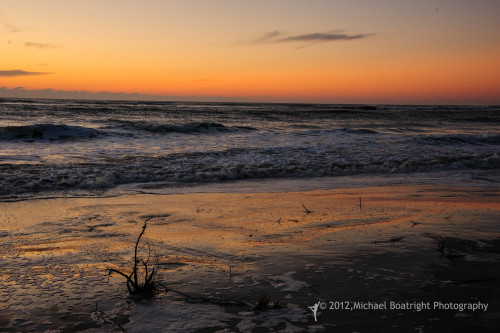 Sapelo2012_MCB1032.jpg