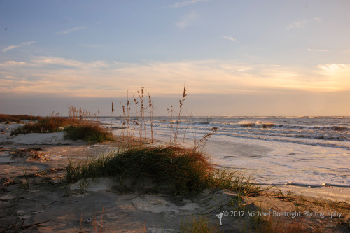Sapelo2012_MCB1079.jpg