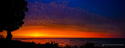 SunsetFromChocolatePlantation.jpg