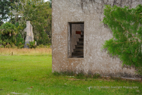 Sapelo2012_MCB0277.jpg