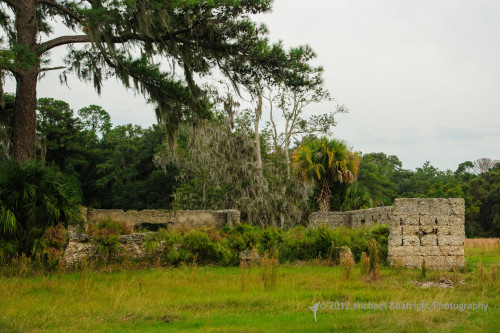 Sapelo2012_MCB0285.jpg
