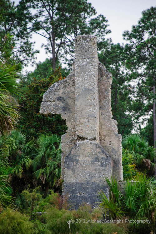 Sapelo2012_MCB0298.jpg