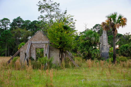Sapelo2012_MCB0299.jpg