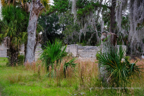 Sapelo2012_MCB0315.jpg