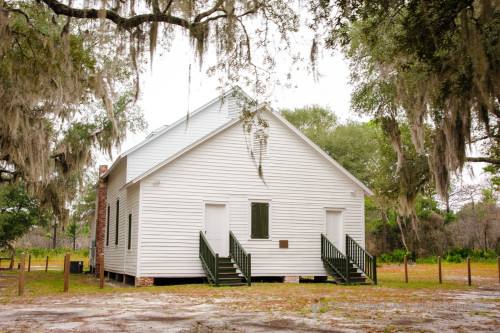 Sapelo2012_MCB0688.jpg