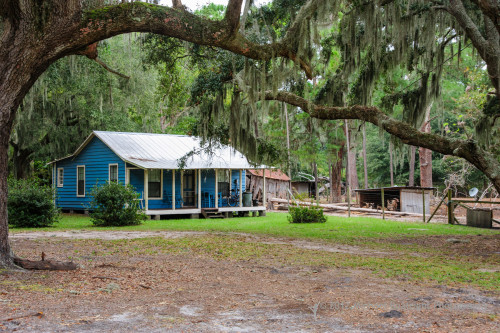 Sapelo2012_MCB0750.jpg