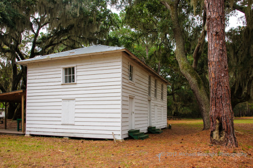 Sapelo2012_MCB0770.jpg