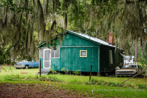Sapelo2012_MCB0780.jpg