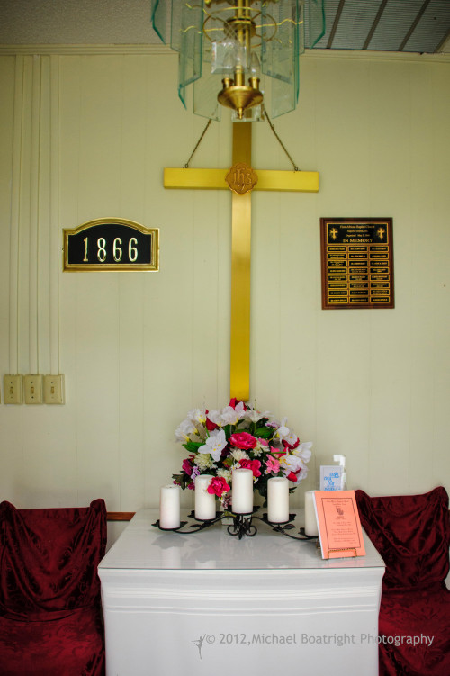Sapelo2012_MCB0781.jpg