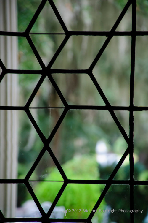 Sapelo2012_MCB0793.jpg