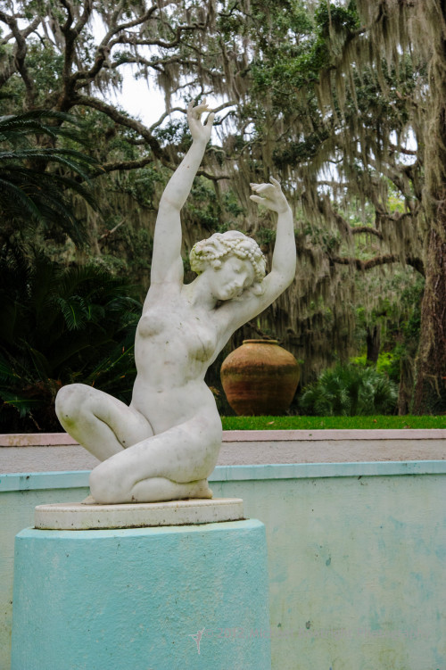 Sapelo2012_MCB0811.jpg