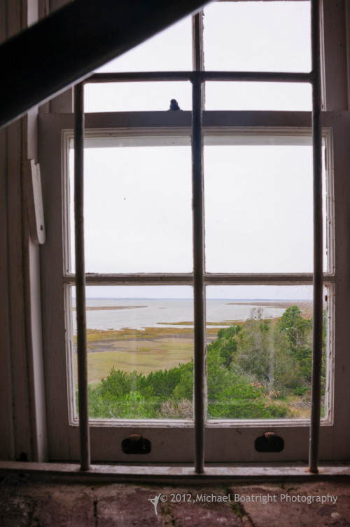 Sapelo2012_MCB0851.jpg