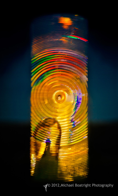 Sapelo2012_MCB0877.jpg
