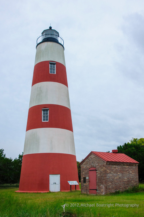 Sapelo2012_MCB0907.jpg