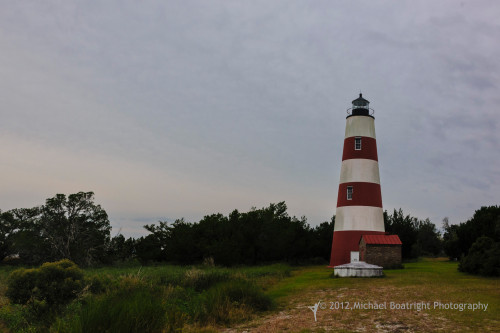 Sapelo2012_MCB0913.jpg