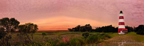 Sapelo2012_MCB0913_pano.jpg