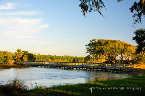 Sapelo2012_MCB1107.jpg
