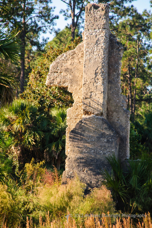 Sapelo2012_MCB1184.jpg