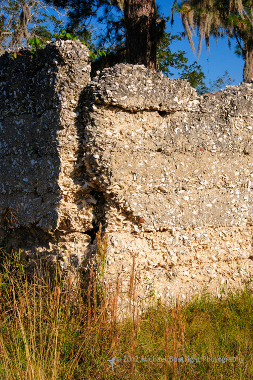 Sapelo2012_MCB1199.jpg