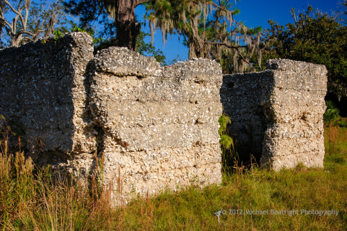 Sapelo2012_MCB1200.jpg
