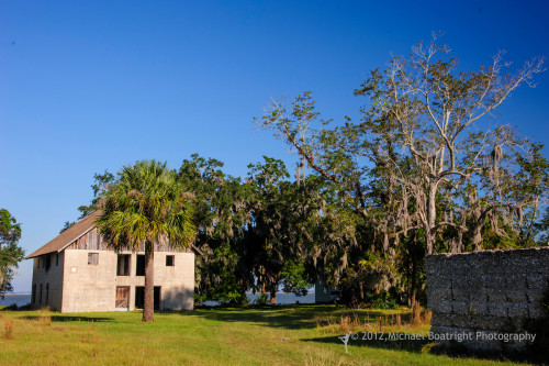 Sapelo2012_MCB1209.jpg